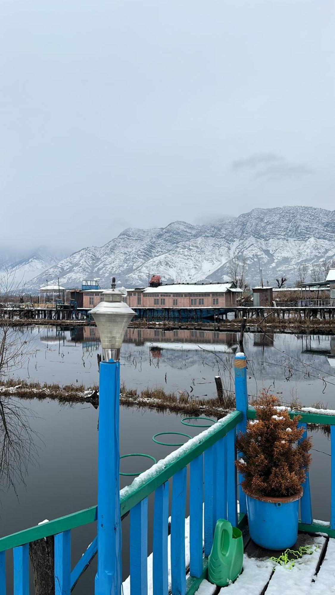 Houseboat Young Wild Rose Σριναγκάρ Εξωτερικό φωτογραφία
