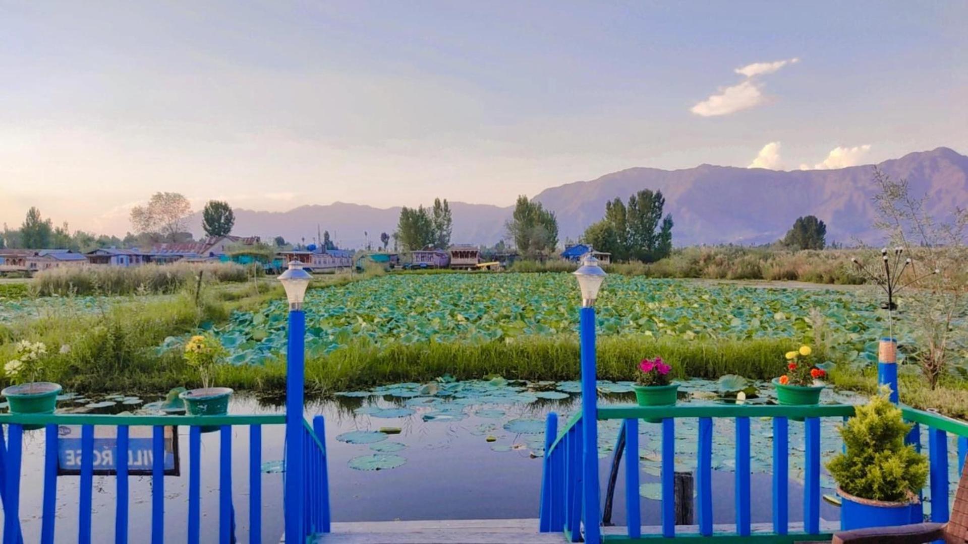 Houseboat Young Wild Rose Σριναγκάρ Εξωτερικό φωτογραφία